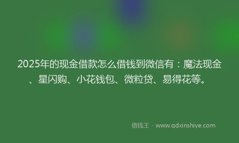2025年的现金借款怎么借钱到微信有：魔法现金、星闪购、小花钱包、微粒贷、易得花等。