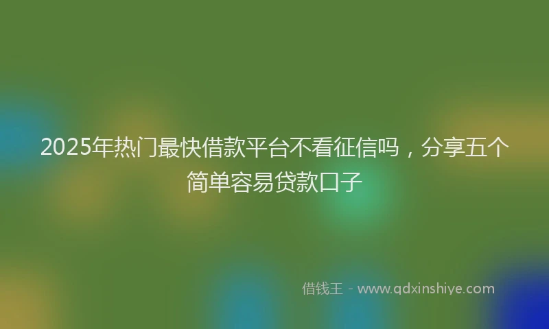 2025年热门最快借款平台不看征信吗，分享五个简单容易贷款口子