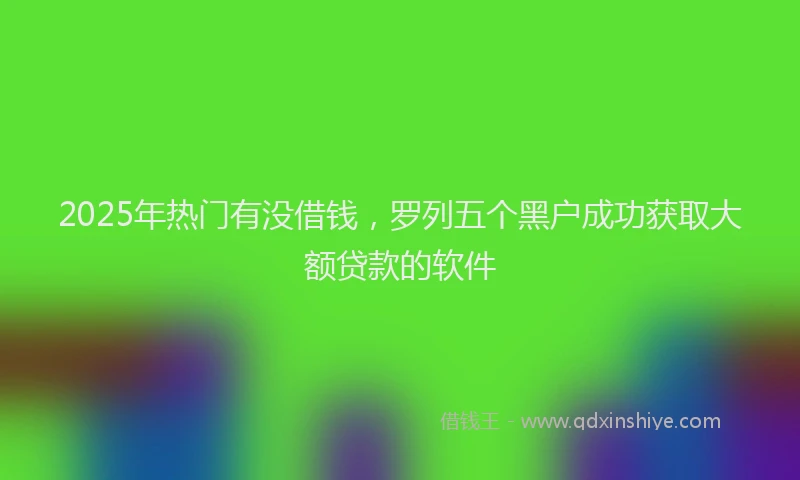 2025年热门有没借钱，罗列五个黑户成功获取大额贷款的软件