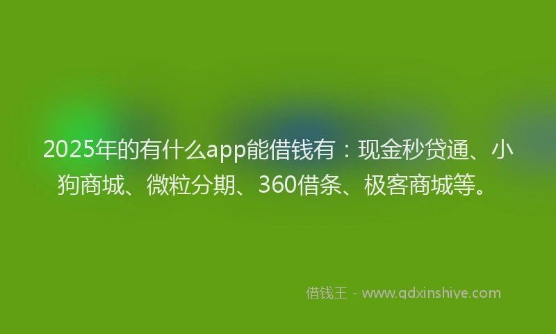 2025年的有什么app能借钱有：现金秒贷通、小狗商城、微粒分期、360借条、极客商城等。