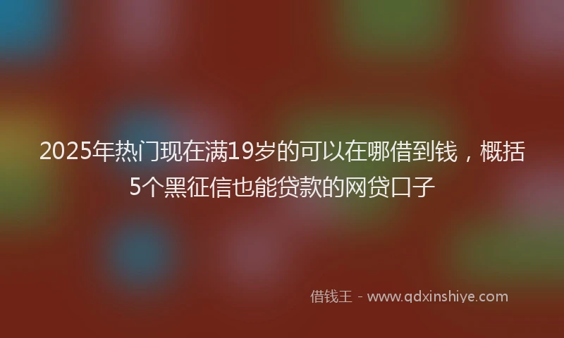 2025年热门现在满19岁的可以在哪借到钱，概括5个黑征信也能贷款的网贷口子