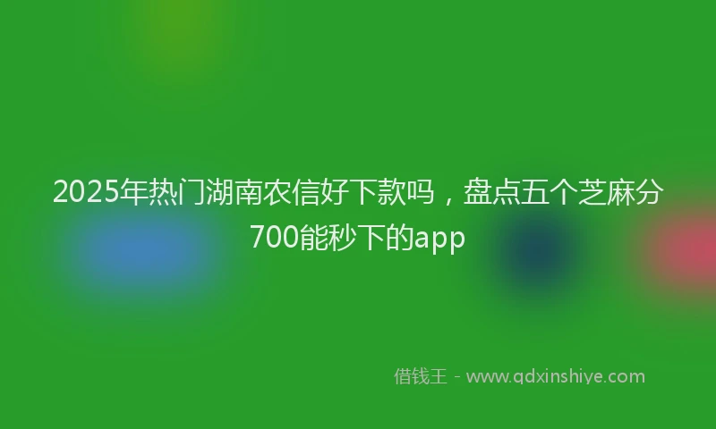 2025年热门湖南农信好下款吗，盘点五个芝麻分700能秒下的app