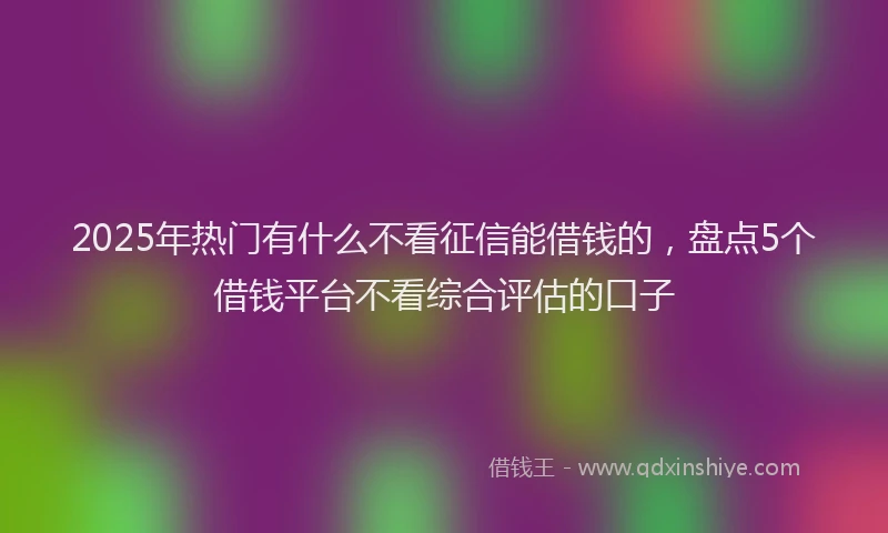 2025年热门有什么不看征信能借钱的，盘点5个借钱平台不看综合评估的口子