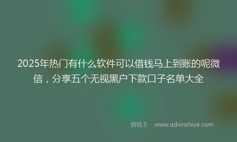 2025年热门有什么软件可以借钱马上到账的呢微信，分享五个无视黑户下款口子名单大全