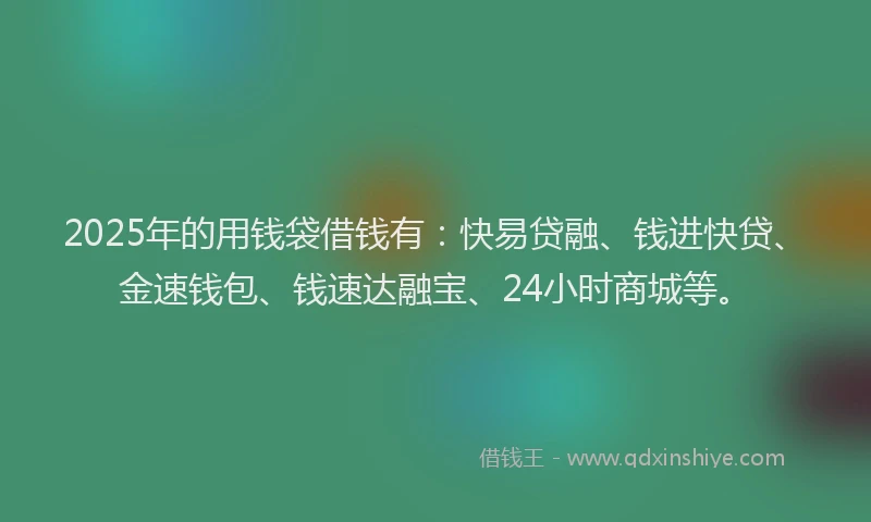 2025年的用钱袋借钱有：快易贷融、钱进快贷、金速钱包、钱速达融宝、24小时商城等。