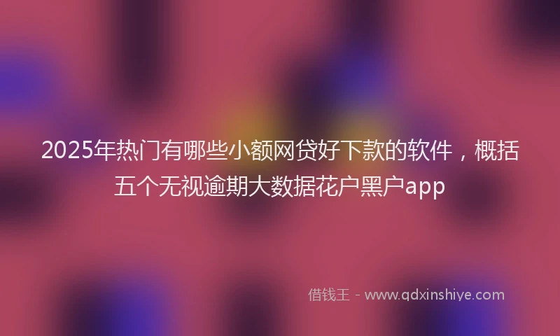 2025年热门有哪些小额网贷好下款的软件，概括五个无视逾期大数据花户黑户app