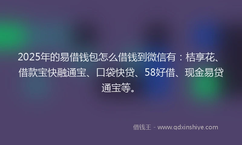 2025年的易借钱包怎么借钱到微信有：桔享花、借款宝快融通宝、口袋快贷、58好借、现金易贷通宝等。