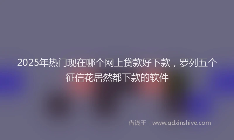 2025年热门现在哪个网上贷款好下款，罗列五个征信花居然都下款的软件