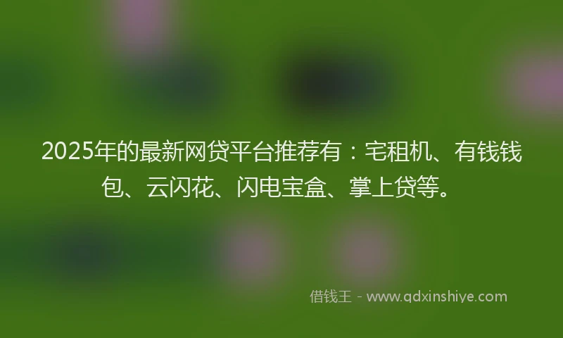 2025年的最新网贷平台推荐有：宅租机、有钱钱包、云闪花、闪电宝盒、掌上贷等。