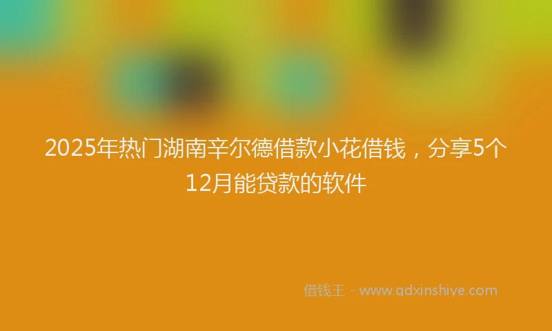 2025年热门湖南辛尔德借款小花借钱，分享5个12月能贷款的软件