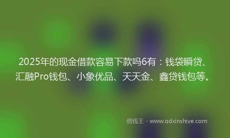 2025年的现金借款容易下款吗6有：钱袋瞬贷、汇融Pro钱包、小象优品、天天金、鑫贷钱包等。