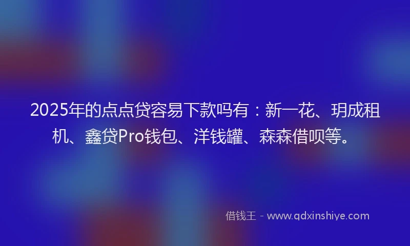 2025年的点点贷容易下款吗有：新一花、玥成租机、鑫贷Pro钱包、洋钱罐、森森借呗等。