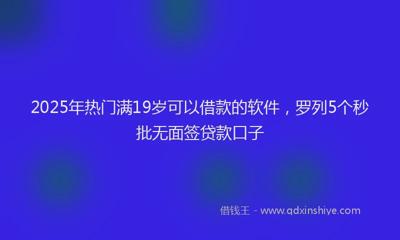 2025年热门满19岁可以借款的软件，罗列5个秒批无面签贷款口子