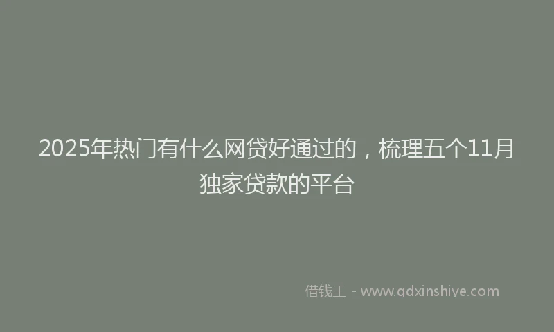 2025年热门有什么网贷好通过的，梳理五个11月独家贷款的平台