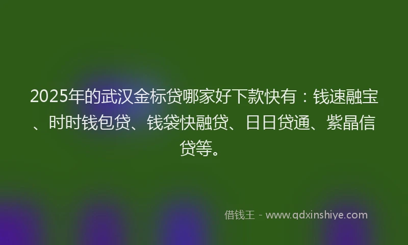 2025年的武汉金标贷哪家好下款快有：钱速融宝、时时钱包贷、钱袋快融贷、日日贷通、紫晶信贷等。