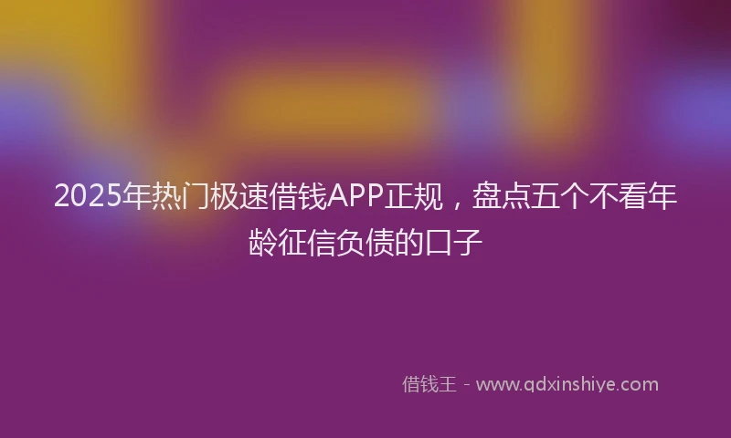 2025年热门极速借钱APP正规，盘点五个不看年龄征信负债的口子
