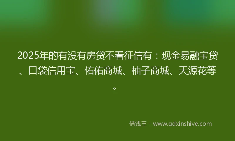 2025年的有没有房贷不看征信有：现金易融宝贷、口袋信用宝、佑佑商城、柚子商城、天源花等。