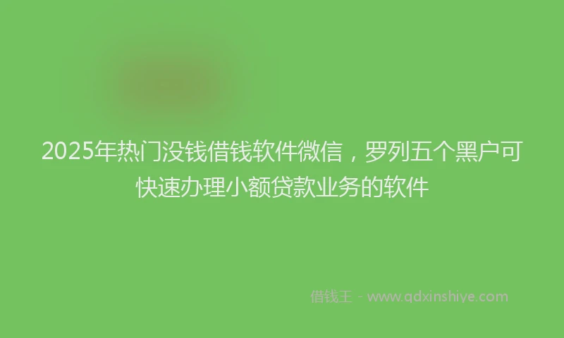2025年热门没钱借钱软件微信，罗列五个黑户可快速办理小额贷款业务的软件