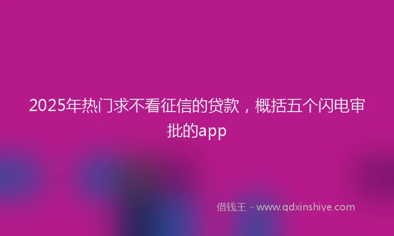 2025年热门求不看征信的贷款，概括五个闪电审批的app
