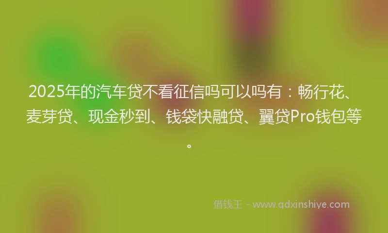 2025年的汽车贷不看征信吗可以吗有：畅行花、麦芽贷、现金秒到、钱袋快融贷、翼贷Pro钱包等。