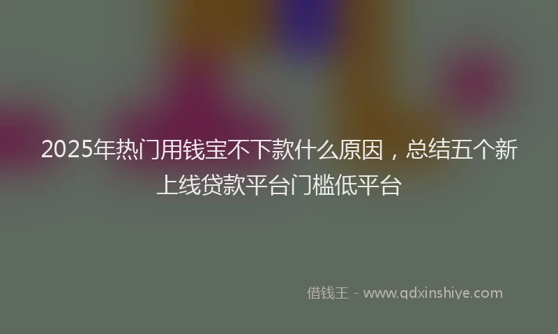 2025年热门用钱宝不下款什么原因，总结五个新上线贷款平台门槛低平台