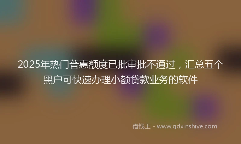 2025年热门普惠额度已批审批不通过，汇总五个黑户可快速办理小额贷款业务的软件
