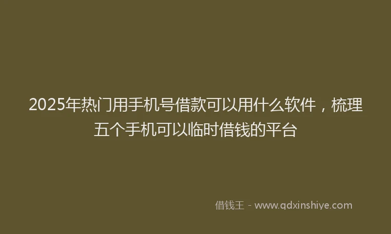 2025年热门用手机号借款可以用什么软件，梳理五个手机可以临时借钱的平台