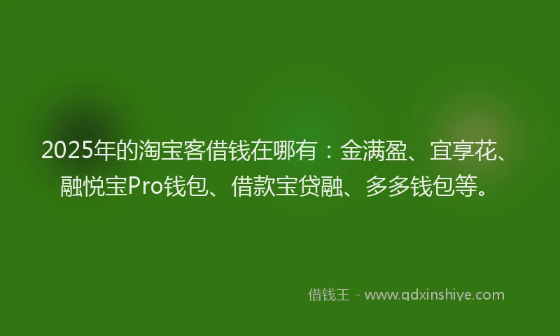 2025年的淘宝客借钱在哪有：金满盈、宜享花、融悦宝Pro钱包、借款宝贷融、多多钱包等。