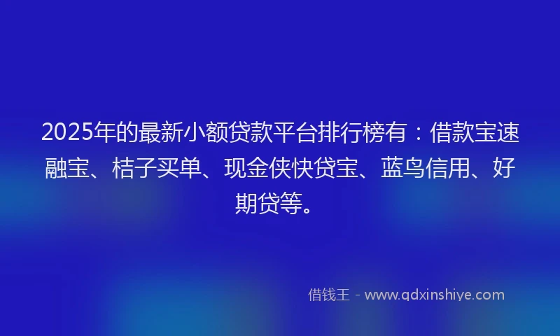 2025年的最新小额贷款平台排行榜有：借款宝速融宝、桔子买单、现金侠快贷宝、蓝鸟信用、好期贷等。