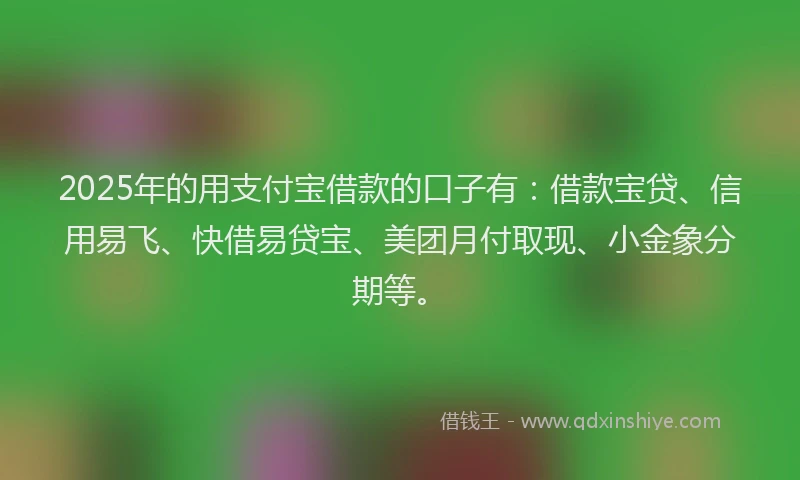 2025年的用支付宝借款的口子有：借款宝贷、信用易飞、快借易贷宝、美团月付取现、小金象分期等。