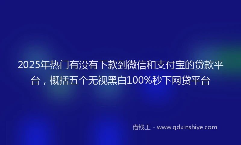 2025年热门有没有下款到微信和支付宝的贷款平台，概括五个无视黑白100%秒下网贷平台
