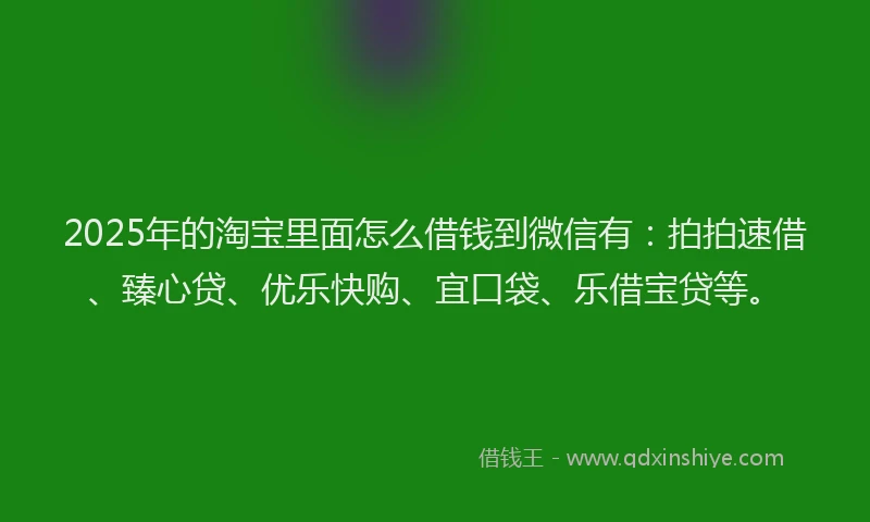 2025年的淘宝里面怎么借钱到微信有：拍拍速借、臻心贷、优乐快购、宜口袋、乐借宝贷等。