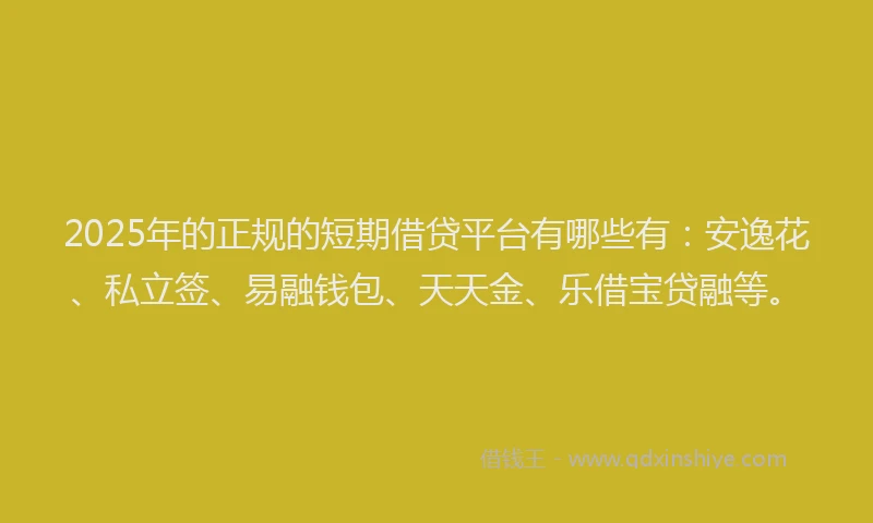 2025年的正规的短期借贷平台有哪些有：安逸花、私立签、易融钱包、天天金、乐借宝贷融等。