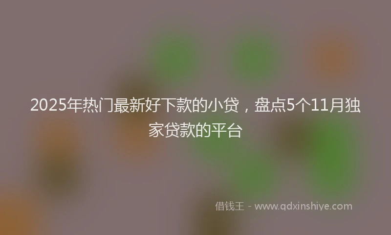 2025年热门最新好下款的小贷，盘点5个11月独家贷款的平台