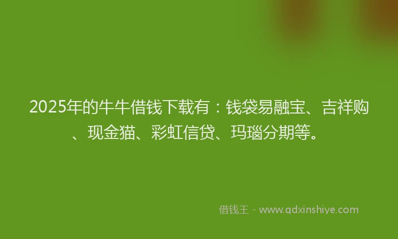 2025年的牛牛借钱下载有：钱袋易融宝、吉祥购、现金猫、彩虹信贷、玛瑙分期等。