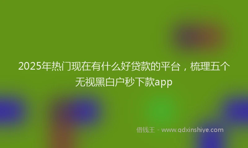 2025年热门现在有什么好贷款的平台，梳理五个无视黑白户秒下款app