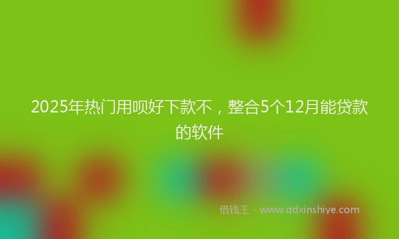 2025年热门用呗好下款不，整合5个12月能贷款的软件