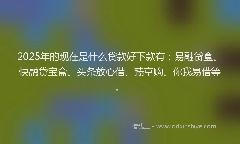 2025年的现在是什么贷款好下款有：易融贷盒、快融贷宝盒、头条放心借、臻享购、你我易借等。