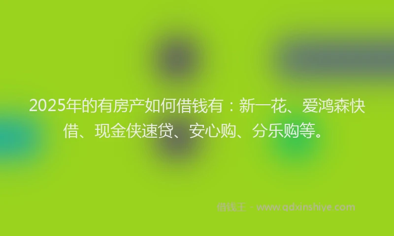2025年的有房产如何借钱有：新一花、爱鸿森快借、现金侠速贷、安心购、分乐购等。