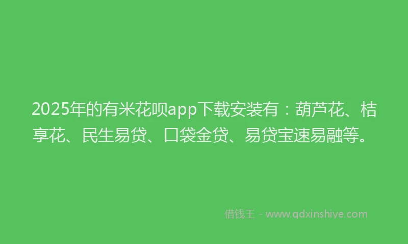 2025年的有米花呗app下载安装有：葫芦花、桔享花、民生易贷、口袋金贷、易贷宝速易融等。