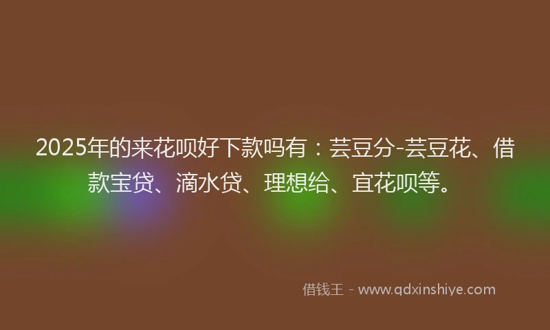 2025年的来花呗好下款吗有：芸豆分-芸豆花、借款宝贷、滴水贷、理想给、宜花呗等。