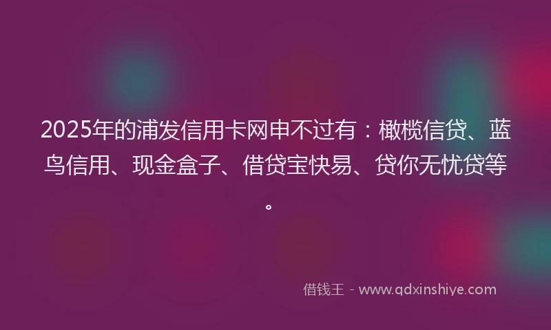 2025年的浦发信用卡网申不过有：橄榄信贷、蓝鸟信用、现金盒子、借贷宝快易、贷你无忧贷等。
