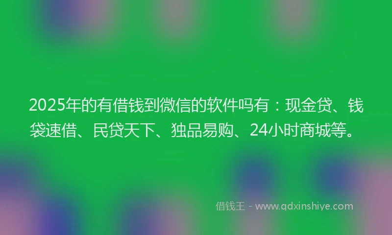 2025年的有借钱到微信的软件吗有：现金贷、钱袋速借、民贷天下、独品易购、24小时商城等。