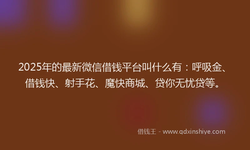 2025年的最新微信借钱平台叫什么有：呼吸金、借钱快、射手花、魔快商城、贷你无忧贷等。