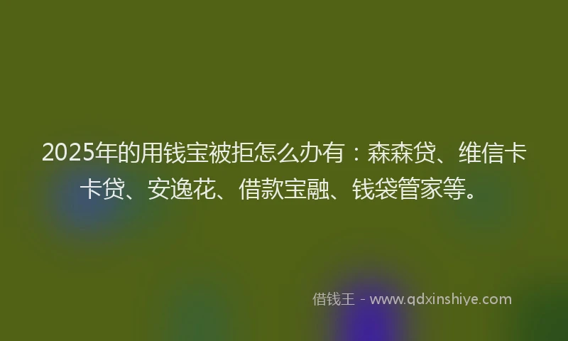 2025年的用钱宝被拒怎么办有：森森贷、维信卡卡贷、安逸花、借款宝融、钱袋管家等。