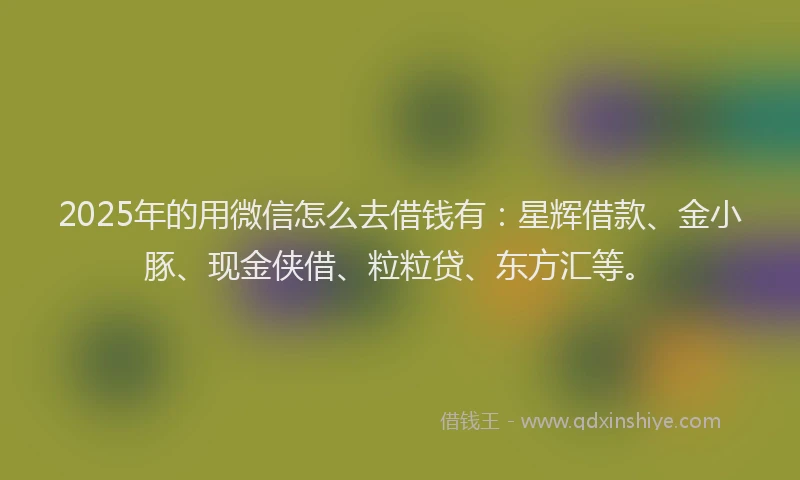 2025年的用微信怎么去借钱有：星辉借款、金小豚、现金侠借、粒粒贷、东方汇等。