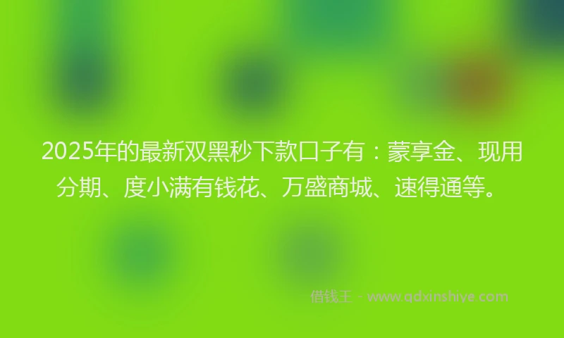 2025年的最新双黑秒下款口子有：蒙享金、现用分期、度小满有钱花、万盛商城、速得通等。