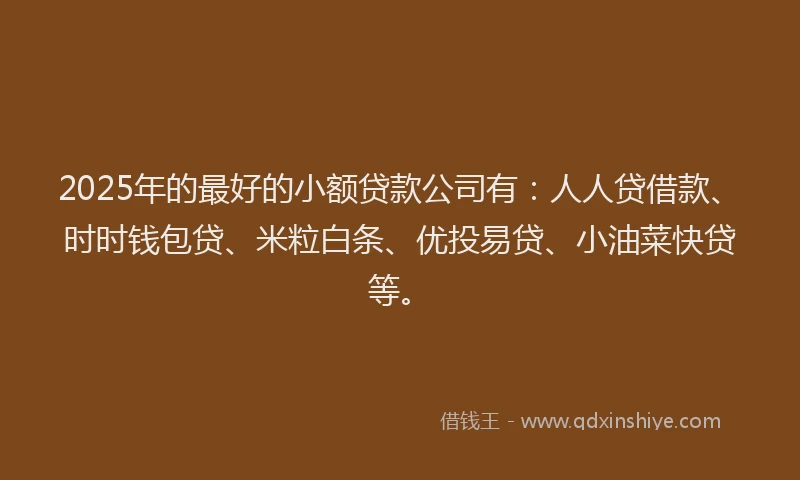 2025年的最好的小额贷款公司有：人人贷借款、时时钱包贷、米粒白条、优投易贷、小油菜快贷等。