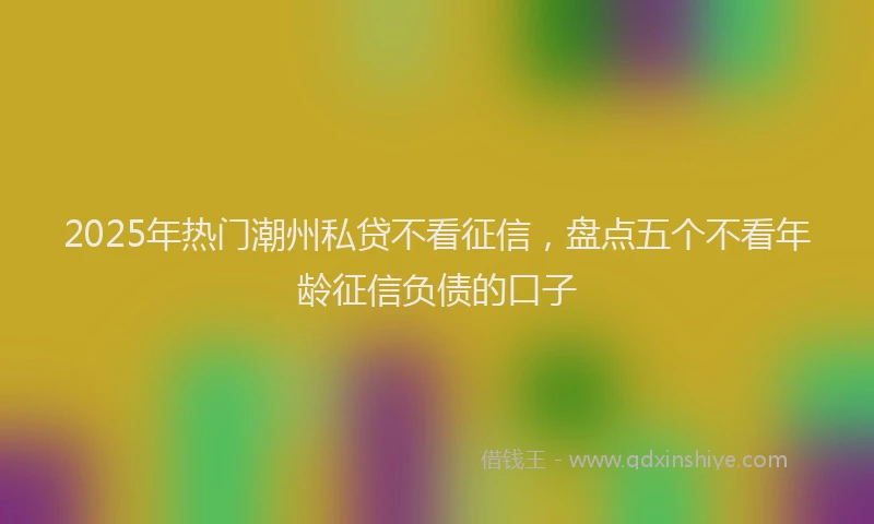 2025年热门潮州私贷不看征信，盘点五个不看年龄征信负债的口子