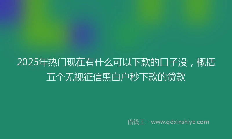 2025年热门现在有什么可以下款的口子没，概括五个无视征信黑白户秒下款的贷款